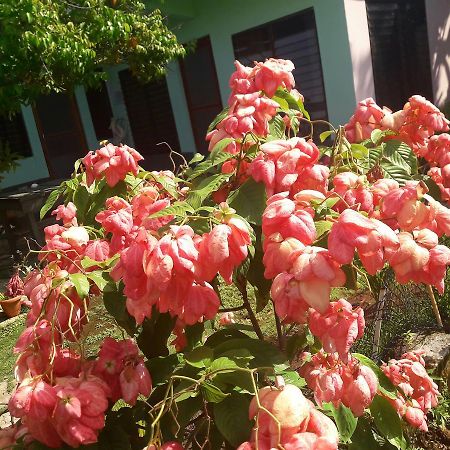 Villy'S Cottage North End Bagian luar foto