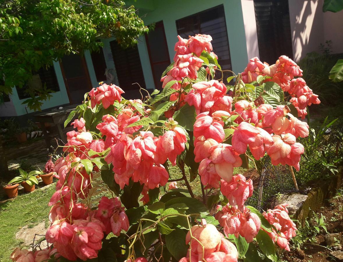 Villy'S Cottage North End Bagian luar foto